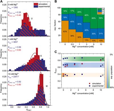 Combining Coarse-Grained Simulations and Single Molecule Analysis Reveals a Three-State Folding Model of the Guanidine-II Riboswitch